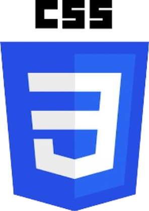 CSS Logo
